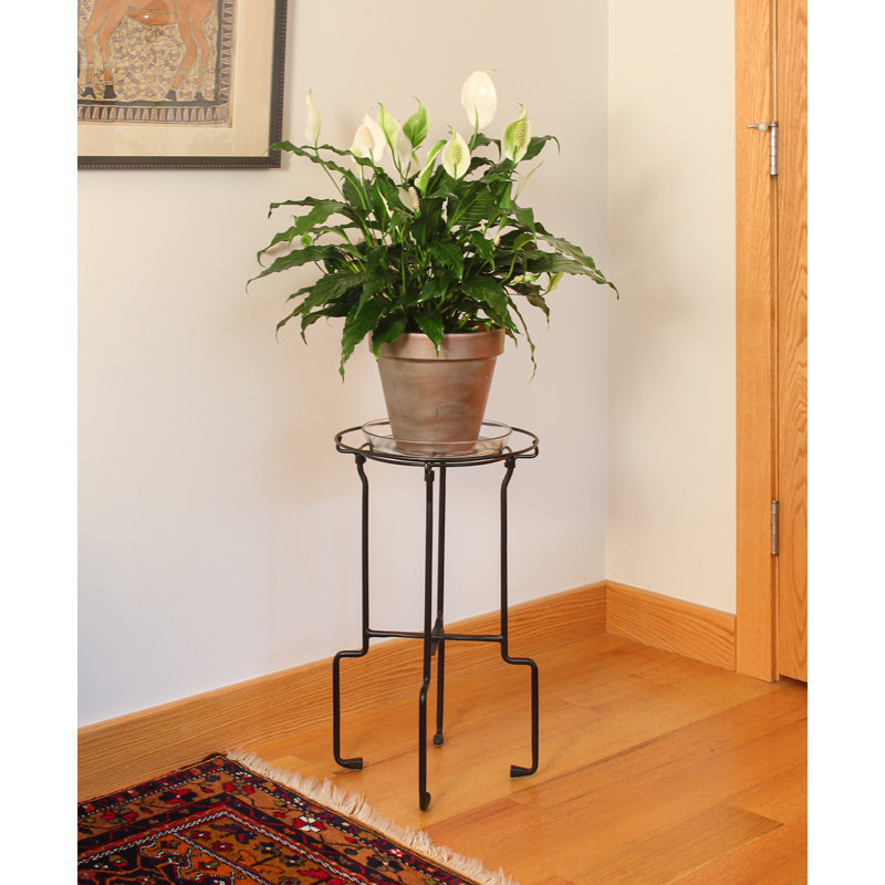 Metal Plant Stand