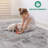 Non-Shedding Function Living Room Bedroom Dining Home Office Stylish And Stain Resistant Area Rug-1233475520