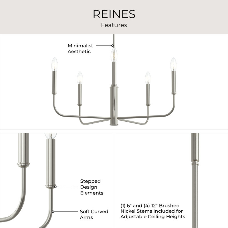 Reines 5-Light Brushed Nickel Medium Chandelier, Brushed Nickel, 5