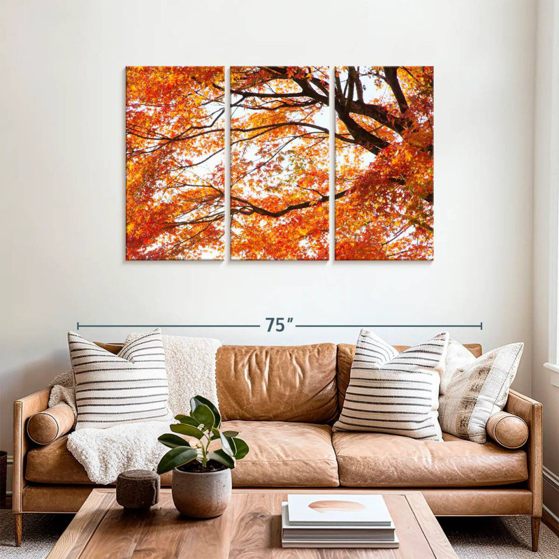 Alvord acer Palmatum en automne, H 36 po x l 57 po