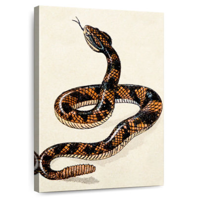 Brampt Rattlesnake