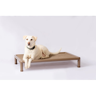 Cooling Elevated Dog Bed