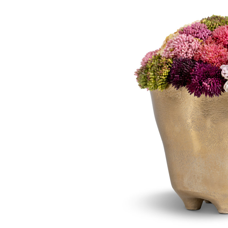Florence Sedum Arrangement