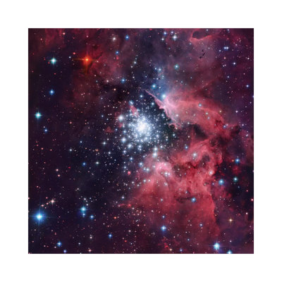 Giant HII Cloud And Its Massive Cluster HD97950 (NGC 3603) by Robert Gendler - Wrapped Canvas Gallery-Wrapped Canvas Giclée