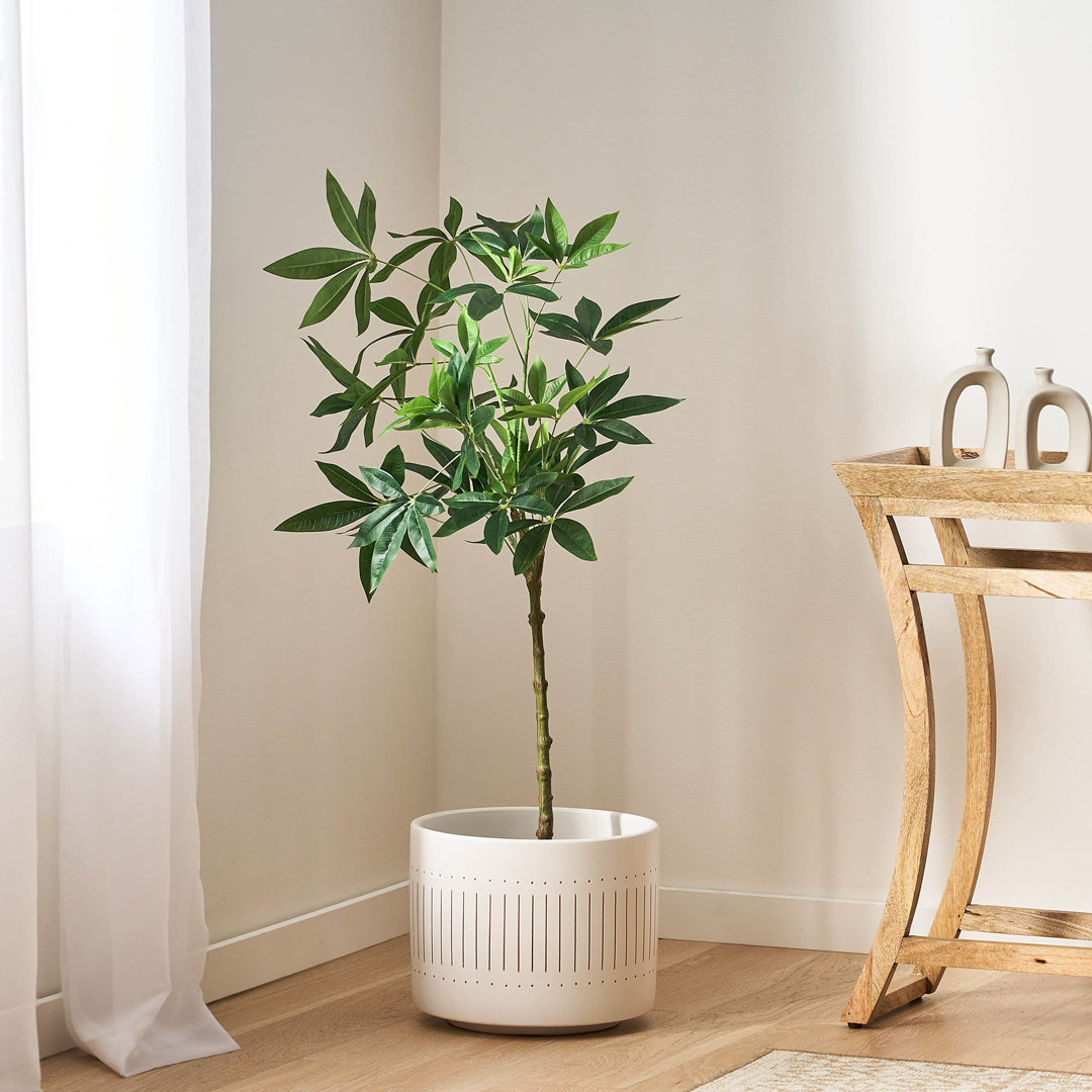 Deena Faux Money Tree in Pot, Artificial Money Plants for Indoor and Outdoor Decor Primrue 