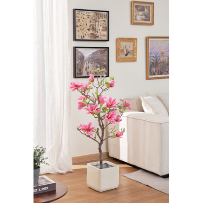 40" Pink Magnolia Flowering Tree in Pot