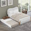 Lit plateforme tapissier avec lit gigogne-449775829-449775830