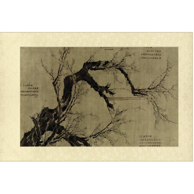 Plum Blossom Tree by Vision Studio - Wrapped Canvas Print