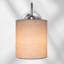 Alleshia Steel Armed Sconce