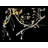 Jahlissa Indoor 20 - Bulb 72'' Battery Powered String Light