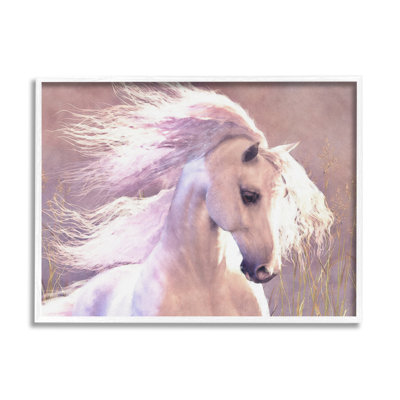 Az-065 - Cheval blanc encadré dans la nature