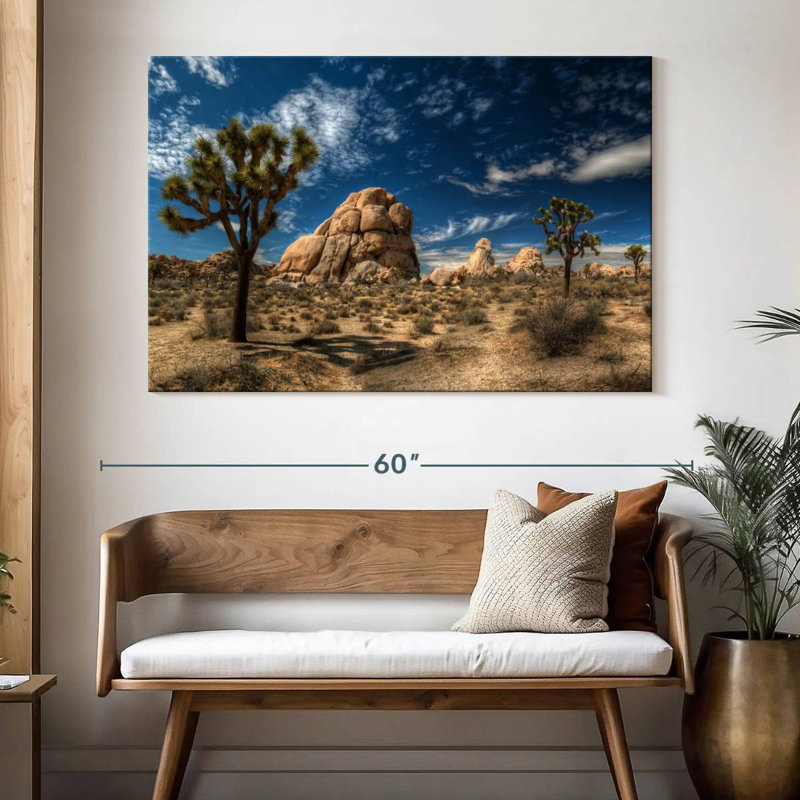 Alvord Joshua Tree Lone Rock Formation