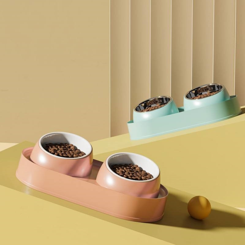 Ensemble de bols pour chat d'intérieur en acier inoxydable, support divisé pour animal de compagnie surélevé incliné à 10 ° avec base antidérapante pour petits animaux - rose