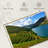 Alvord Douro Grapevine Valley-107923700