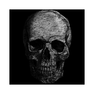Skull Fibers - Wrapped Canvas Print