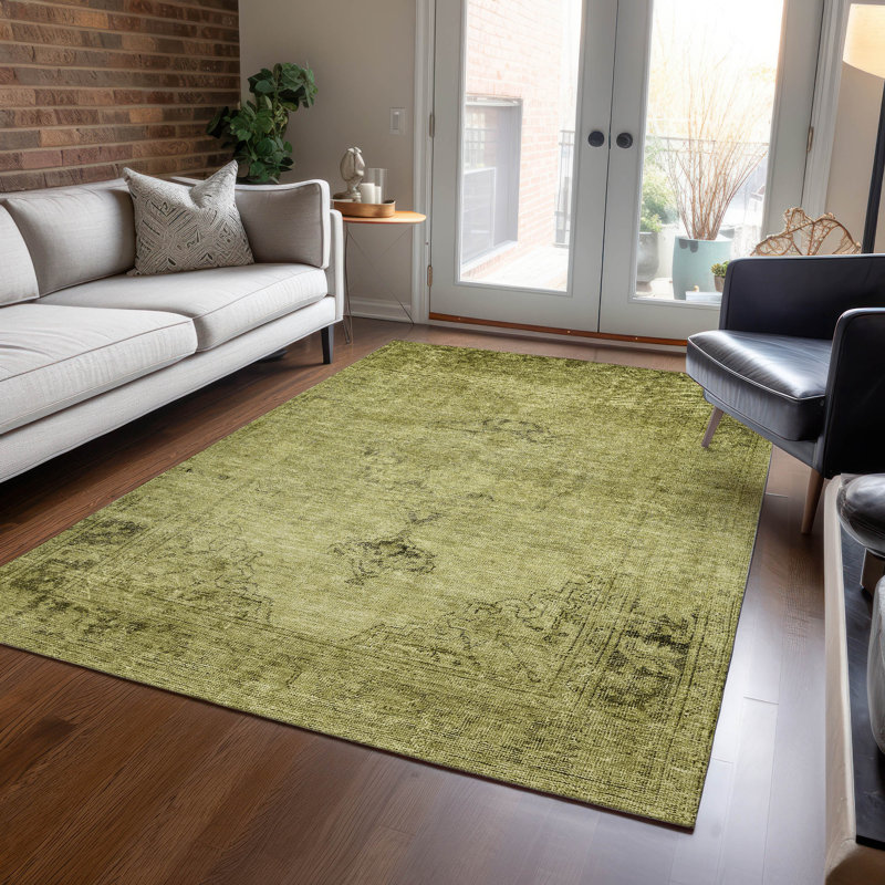 Tapis intérieur / extérieur Nayelin, Rectangle 2 pi 6 po x 3 pi 10 po