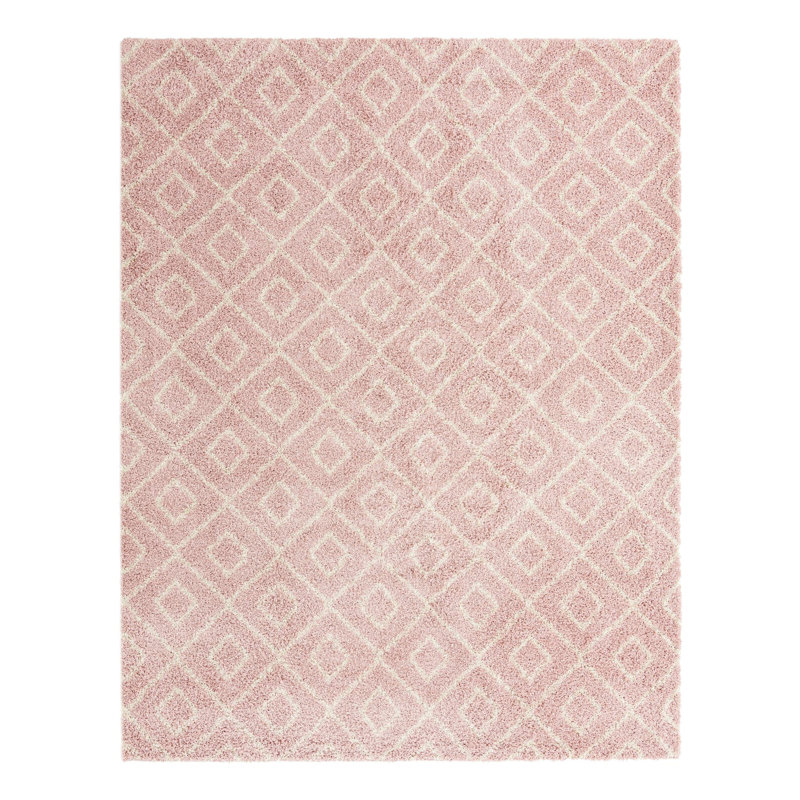 Tapis à treillis rose clair Rugs.com Ruth, Rectangle 10 pi x 13 pi