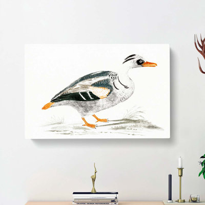 Portrait Of A Duck by Johan Teyler - Wrapped Canvas Print