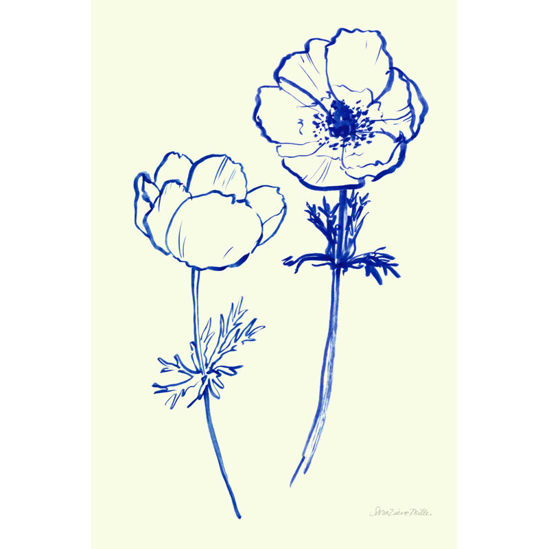 «Ink Anemones II» par Sara Zieve Miller, reproduction sur toile tendue, H 18 po x l 12 po, Non, Toile tendue