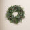 The Holiday Aisle® 24" Frosted Pre-Lit Wreath