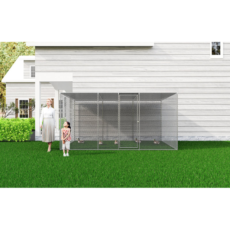 Poulailler et poulailler pour la cour, le filet, H 78,7 po x l 157,4 po x P 98,4 po