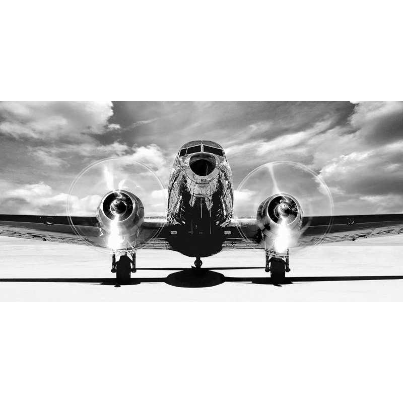 Airplaine Taking Off - Wrapped Canvas Print, 50cm H x 100cm W