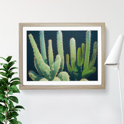 Enthralling Cactus - Single Picture Frame Painting