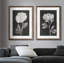 «Black and White Flowers III», ensemble de 2 reproductions d'art encadrées-1201688118-1201688076-1201688079