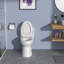 Toilette une pièce Rainlex RX-T29W