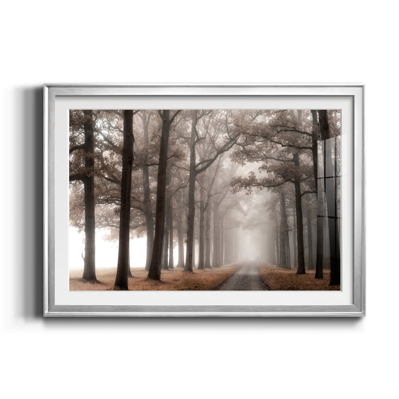 Misty Road - reproduction de photo avec cadre photo, Argent, H 22,5 po x l 30,5 po x P 1,5 po