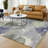 Machine Washable Indoor/Outdoor Chantille ACN2589 Abstract Rug-451664938-451664930