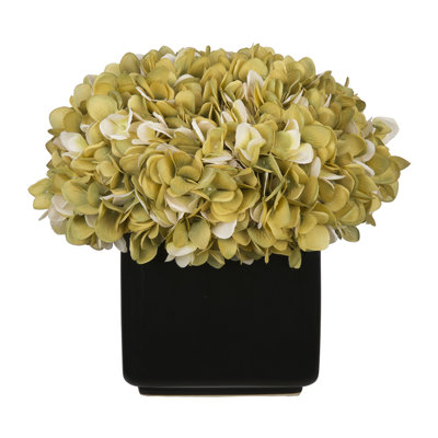 Arrangement réel d'hortensia dans un vase