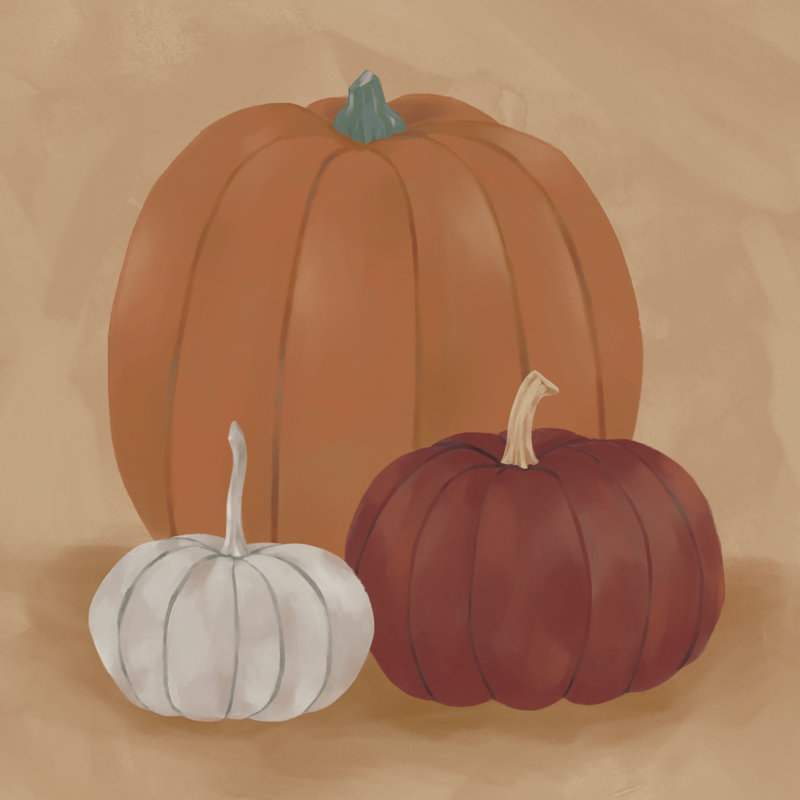 Pumpkin Trio - Wrapped Canvas Art Prints, 30cm H x 30cm W