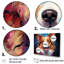 Corgi Charm I - ensemble d'art mural sur toile de chien-107752030