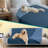 Polyester Pet Blanket-94897895-94897900