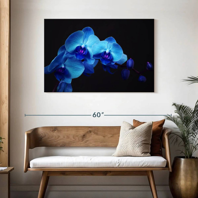 Harnek Blue Bud Orchid, 30" H x 45" W