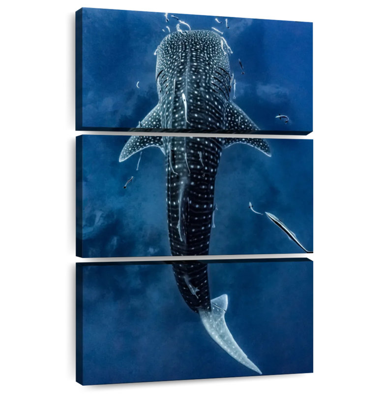 Brampt Spotted Whale Shark, 57" H x 36" W