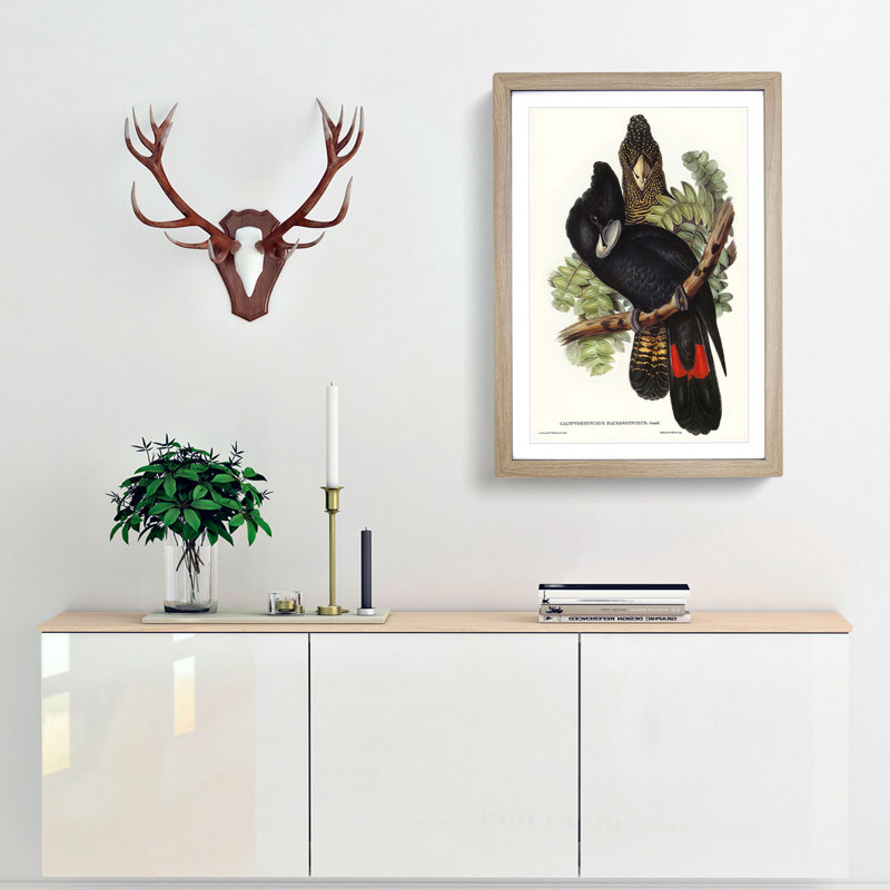 Great-Billed Black Cockatoos by Elizabeth Gould - Picture Frame Painting Print, 48cm H x 36cm W x 2cm D, Oak Framed