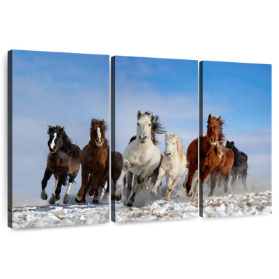 Brampt Zhang Mongolia Horses