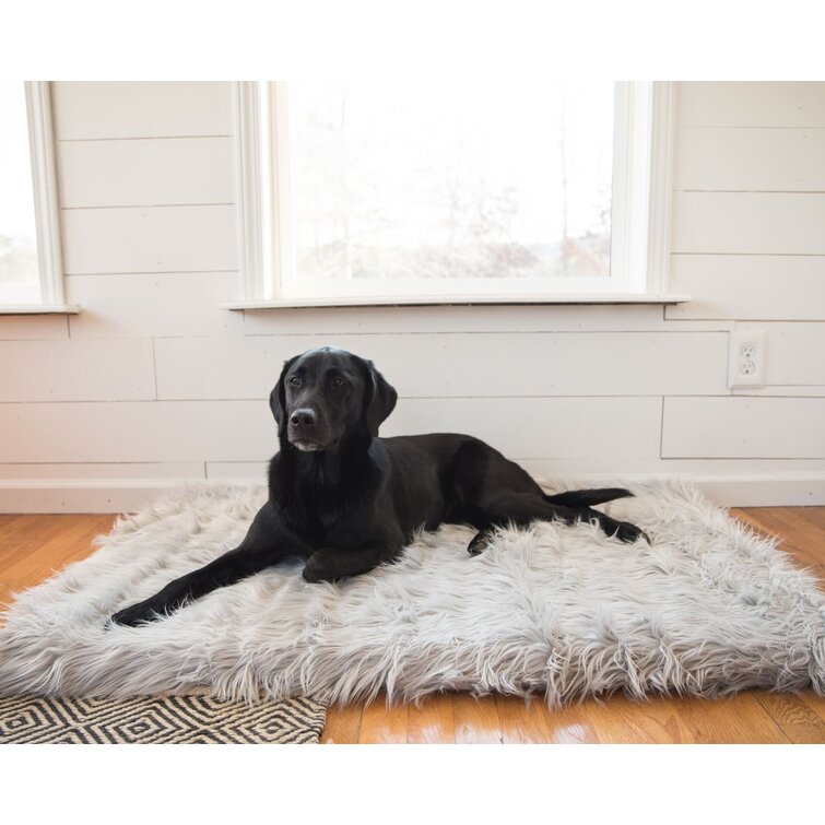 Tucker Murphy Pet™ Pretor Puprug Runner Faux Fur Memory Foam Dog Curve Mat  & Reviews