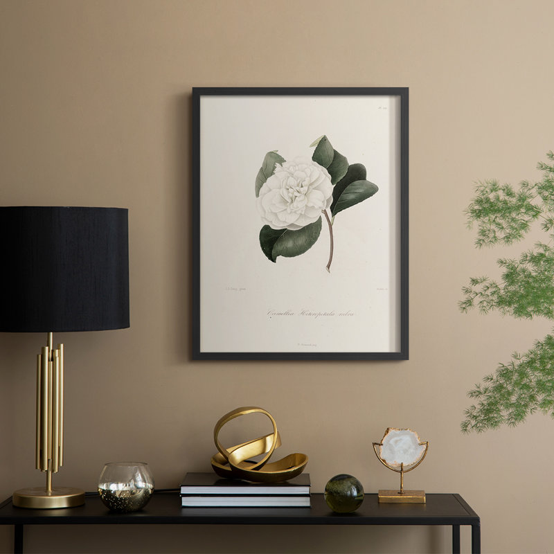 Impression florale vintage encadrée CL XXII - bois massif, Noir, noir, noir, noir, H 30 po x l 24 po