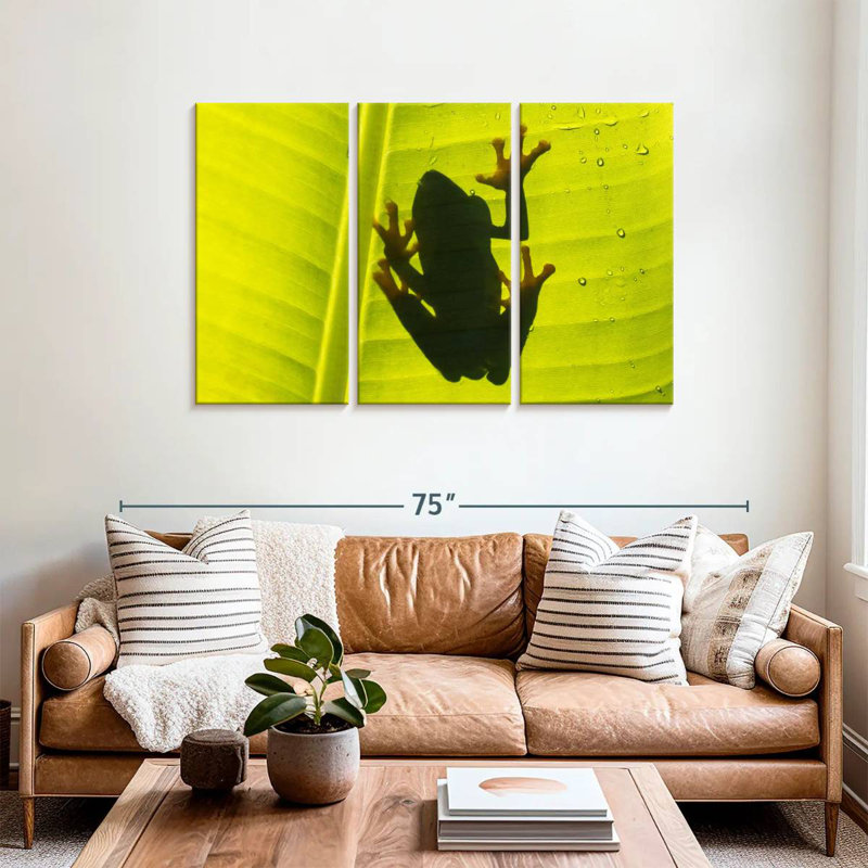 Frog On Leaf