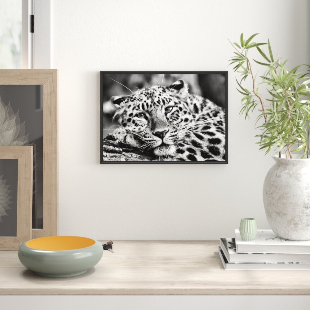 Gerahmtes Wandbild ruhender Leopard