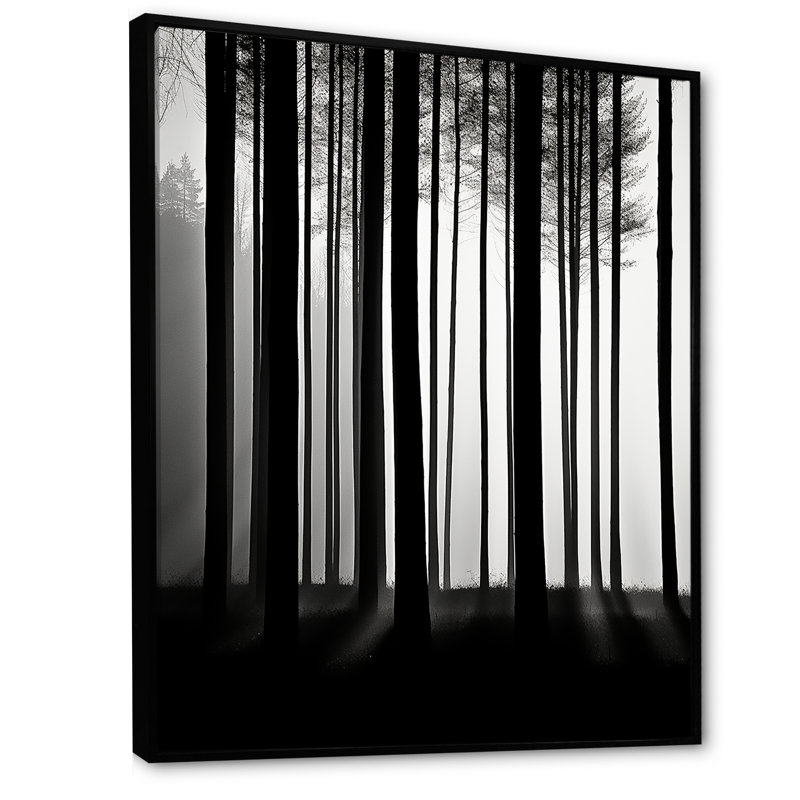 «Black and White Forest Silence», photographie sur toile, Cadre flottant noir, H 44 po x l 34 po x P 1,5 po