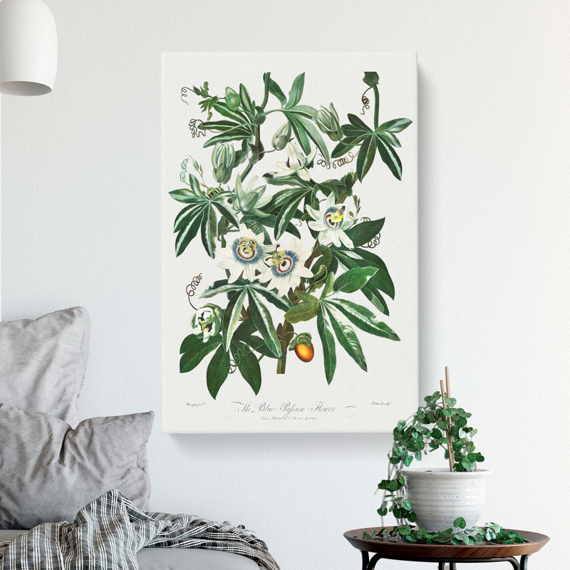 Bluecrown Passionflowers by R.J. Thornton - Wrapped Canvas Painting, 50cm H x 35cm W x 3cm D