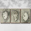 «Neutral Oyster Shell I», ensemble de 3 toiles encadrées-97709067-97709068