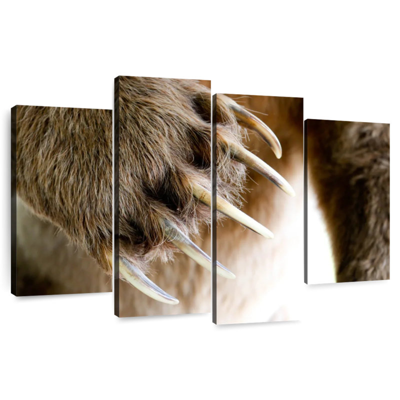 Brampt Bear Claws, 22" H x 36" W