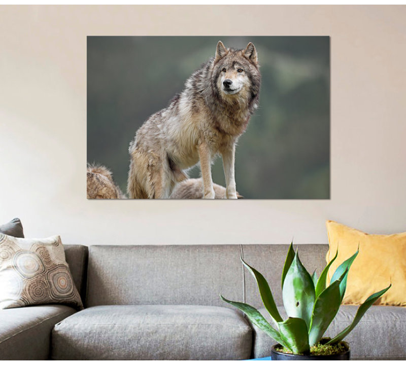 « loup, north america i », impression sur toile, H 26 po x l 40 po x P 1,5 po, Toile tendue, Pas de tapis