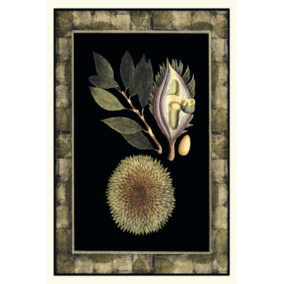 Tropical Bounty III by Vision Studio - Wrapped Canvas Print