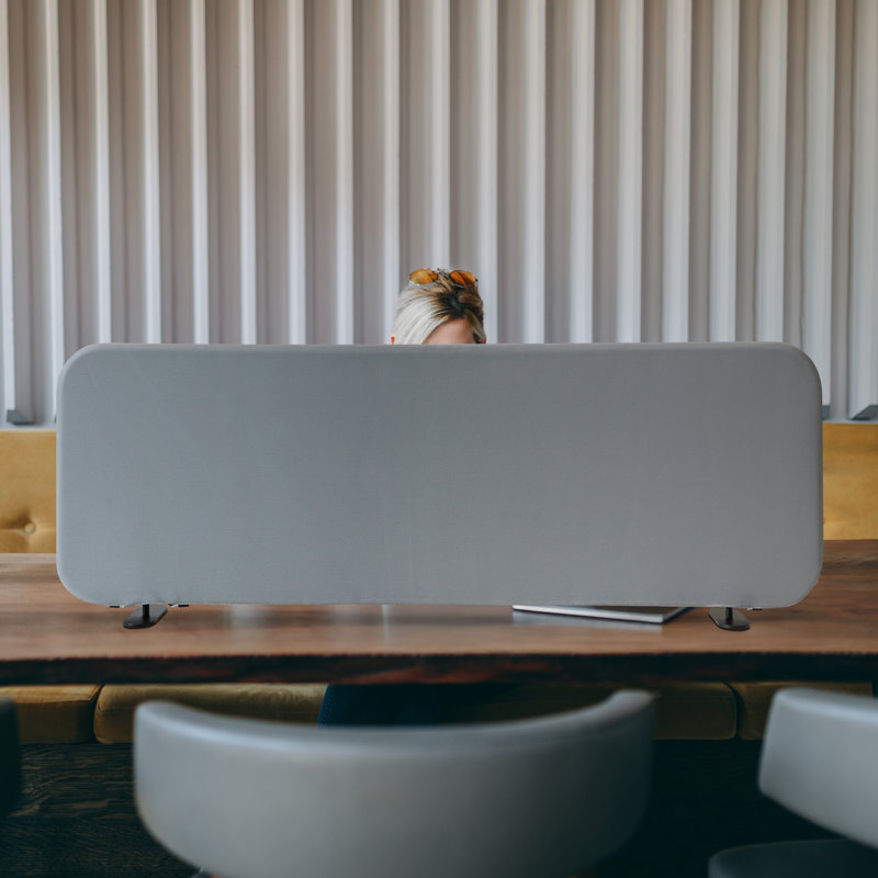 Séparateurs de bureau pour travailler debout, écran diviseur de table portable pour bureau, salle de classe, bureau, anti-rayures, acier 48 po x 18 po